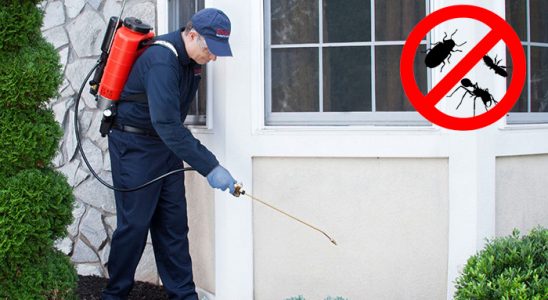 Bilecik Fare İlaçlama böcek ilaçlama ve haşere kontrolü — ilaclama-tr.com
